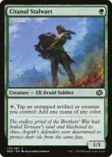 Citanul Stalwart card image