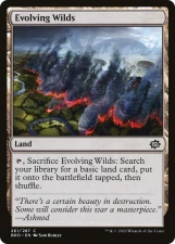 Evolving Wilds card image