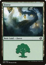 Forest card image