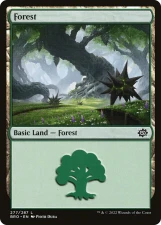 Forest card image