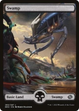 Swamp card image