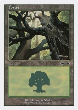 Forest card image