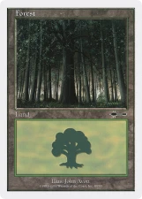 Forest card image
