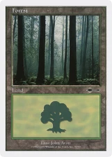 Forest card image