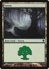 Forest card image
