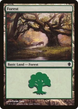 Forest card image