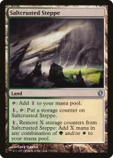 Saltcrusted Steppe card image
