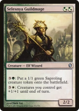 Selesnya Guildmage card image
