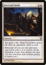 Survival Cache card image