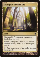 Transguild Promenade card image