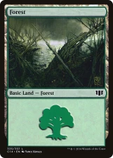 Forest card image