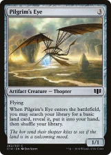 Pilgrim’s Eye card image