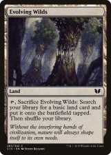 Evolving Wilds card image