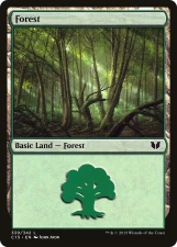 Forest card image
