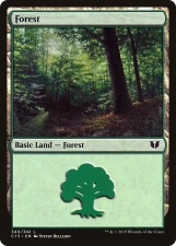 Forest card image