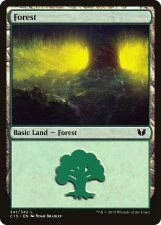 Forest card image