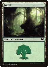 Forest card image