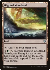 Blighted Woodland card image