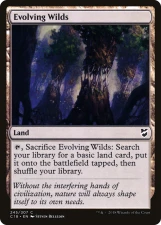 Evolving Wilds card image