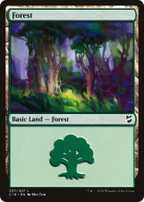 Forest card image