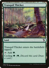 Tranquil Thicket card image