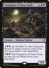 Champion of Stray Souls card image