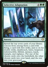 Selective Adaptation card image