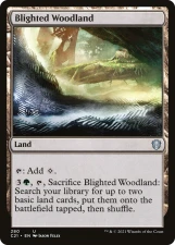 Blighted Woodland card image