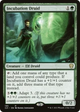 Incubation Druid card image