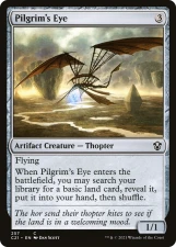 Pilgrim’s Eye card image