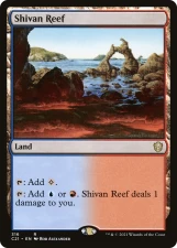 Shivan Reef card image