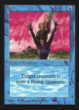 Flight card image