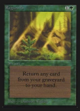 Regrowth card image