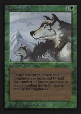 Aspect of Wolf card image