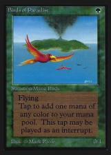 Birds of Paradise card image