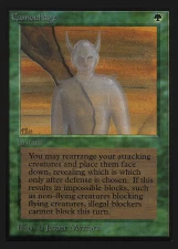 Camouflage card image