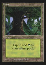Forest card image