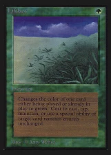 Lifelace card image