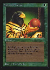 Natural Selection card image