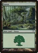 Forest card image