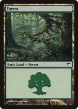 Forest card image