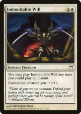 Indomitable Will card image