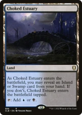 Choked Estuary card image