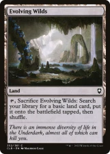 Evolving Wilds card image