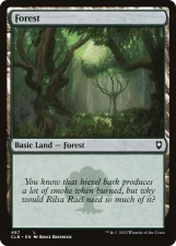 Forest card image