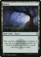 Forest card image