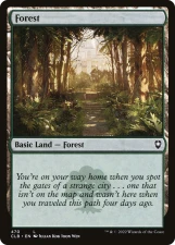 Forest card image