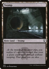 Swamp card image