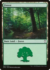 Forest card image