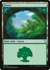 Forest card image